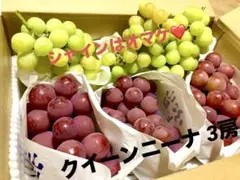 山梨県産 訳あり 家庭用 ぶどう クイーンニーナ 8房 箱込み5.8kg ⑦