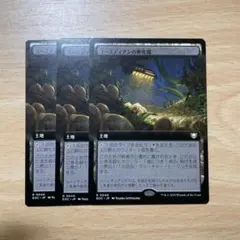 MTG　ユーミディアンの孵化場/Eumidian Hatchery 拡張版3枚