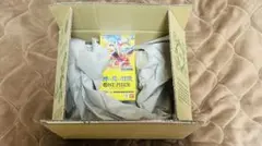 ワンピース　神の島の冒険 新品　本日届いた