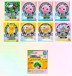 ポケモンキッズ　グレンアルマ＆ソウブレイズ編