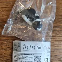 カイカイ猫 ハチワレ カプセルトイ ガチャガチャ