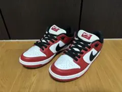 Nike SB Dunk Low Pro 