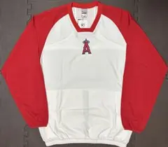 Item thumbnail for item d3424380-d9c3-4fa1-a580-8e4e01df9f5f