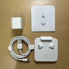 Apple 充電器 Lightningケーブル イヤフォンセット
