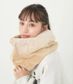 アースミュージック&エコロジー