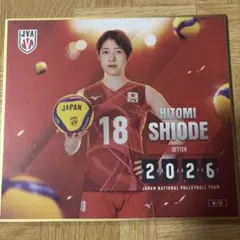 シークレット】佐藤淑乃 印刷サイン入りミニ色紙 女子バレー日本代表