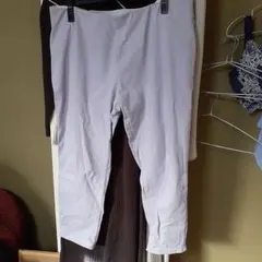 プロバドール☆ハイテンションパンツ☆ラベンダー3L