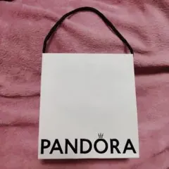 【PANDORA】 ショップ袋 3枚のサムネイル
