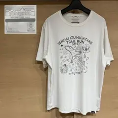 patagonia Capilene Cool Daily Tシャツ400809
