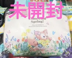 リーナベル スーベニアランチケース ディズニーシー