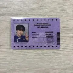 straykids スキズ チャンビン 学生証 ペンミstayzone