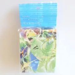 新品ポケモンカードゲーム デッキケース 雷テラスタルバンギラス ポケモンセンター