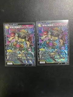 時空の停滞シュタイヴァル / 停滞の覚醒者シュタイヴェルト 2枚