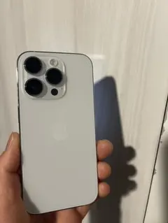 iPhone 14 Pro シルバー 本体 SIMフリー なし docomo - メルカリ