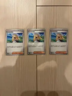 リーリエの決心3枚セット