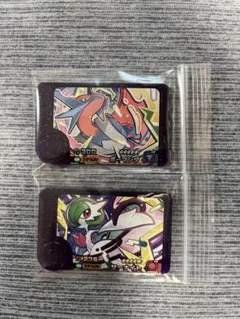 ポケモンフレンダベストタッグ第二弾　ボーマンダ