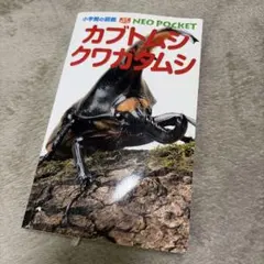 カブトムシ クワガタムシ NEO POCKET