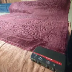 Item thumbnail for item 86b25ff0-6f96-47d2-aab3-e0985f600eef