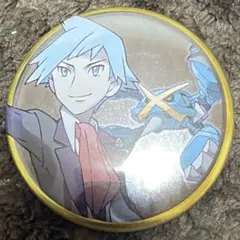 ポケモン 缶バッジコレクション　ダイゴ