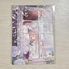 アニメイト ブックフェア2026 A4複製原画3枚セット 花秘める君の