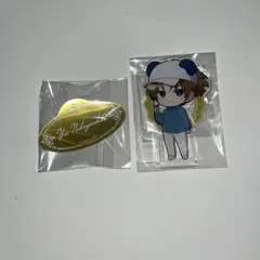 アオペラ　猫屋敷由比