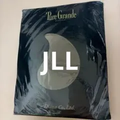 【新品未使用】ダイアナ　ピュアグランデ　JS-L 2個 2025年最新】Yahoo!オークション -ダイアナピュアグランデの中古