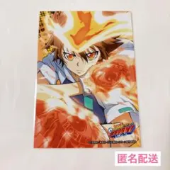 CF2011 限定 A3クリアポスター 家庭教師ヒットマンREBORN 沢田綱吉