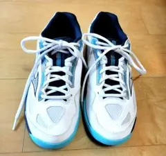 Mizuno テニスシューズ 24.5 breakshot4 室内シューズ