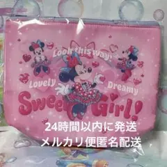 TDL パルパルーザ　ミニーのファンダーランド スーベニアランチケース