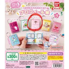 サンリオキャラクターズ プロフィール帳 シュガーバニーズ