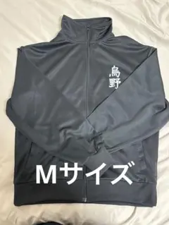 Item thumbnail for item e7d91c75-bdf9-4a3c-af83-bc876718e930