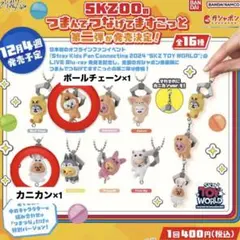 SKZOO　つまんでつなげてますこっとvol.2　リービット　ハンクォッカ