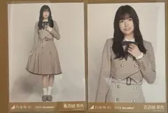 Item thumbnail for item 6547fdb1-b1b4-4c37-a199-485e7f143860