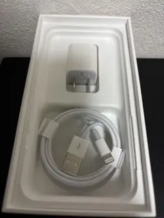新品未使用Apple純正 Lightningケーブル&USB充電アダプター　公式