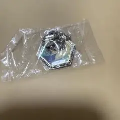 【匿名配送】テニスの王子様 不二周助 キーホルダー レア