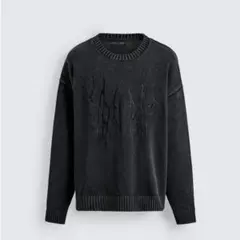 ZARA ウォッシュド刺繍セーター