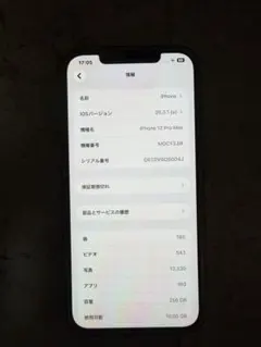 Apple iPhone 12 Pro Max 256GB グラファイト