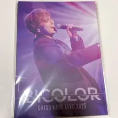 加藤大悟 2025 LIVE『BICOLOR』LIVEBOOK