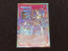 遊戯王 霊王の波動 ドミナスインパルス