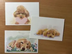 犬　はがき　3枚セット