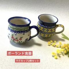 ポーランド食器 マグカップ2柄セット