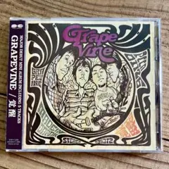 2026年最新】grapevine レコードの人気アイテム - メルカリ