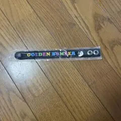 Item thumbnail for item 3e80b544-6183-40b6-916f-d04cdea4b872