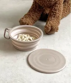 Item thumbnail for item 35d646d5-8b20-41a5-9eaa-77a65cbe7eb6