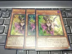 遊戯王 魔術師の弟子 ブラック・マジシャン・ガール ウルトラ 3枚 光の
