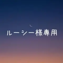 ルーシー様 リクエスト 4点 まとめ商品