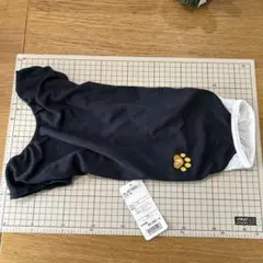 Item thumbnail for item 305ca0ab-72d6-4246-9ae8-a26d042ce9fb