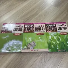 あんみつ様　ハイレベ100小学3年読解力