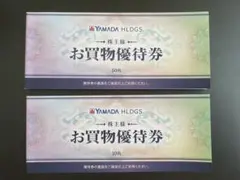 ヤマダデンキ 30,000円分 株主優待券 ～25年12月末