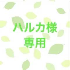 ハルカ様専用
